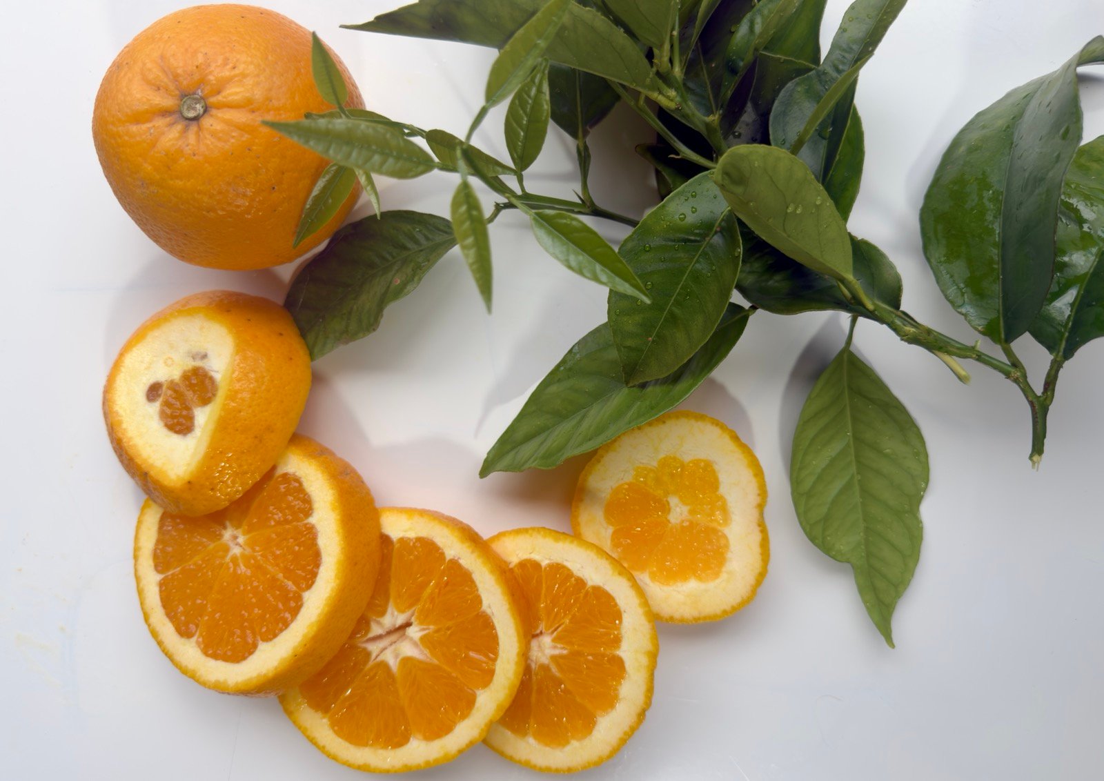 Best Korean Vitamin C Serums: Top Brightening Picks For You